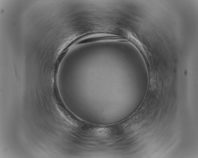 X0000090490059200707131337