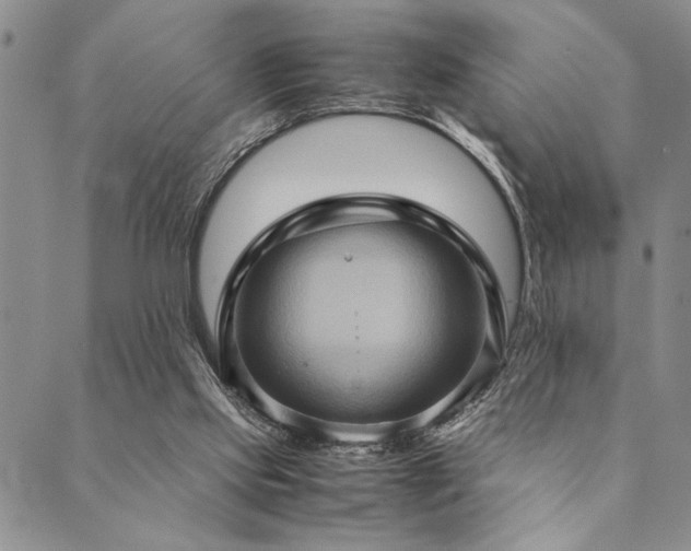 X0000090490061200707131337