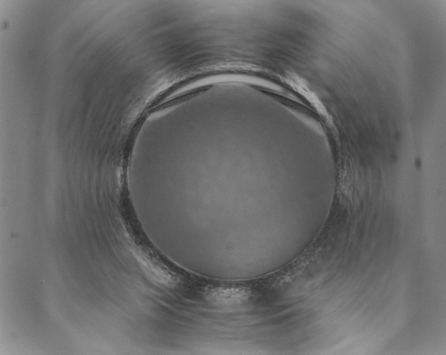 X0000090490063200707131337