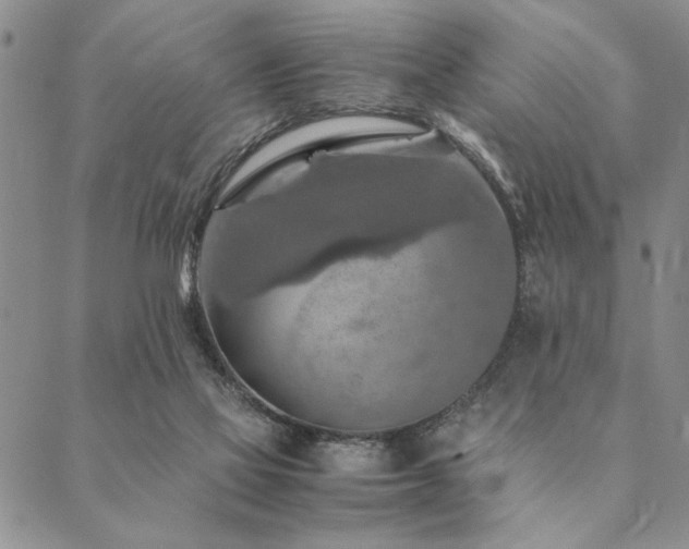 X0000090490069200707131337