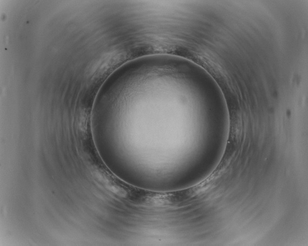 X0000090490078200707131338