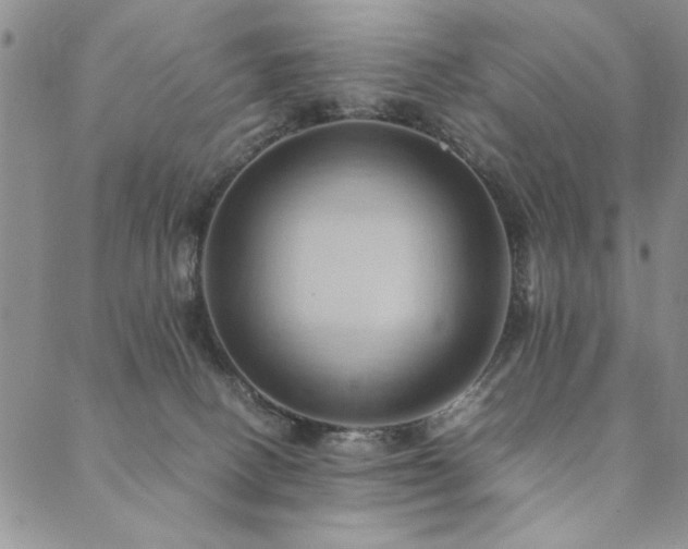 X0000090490082200707131338