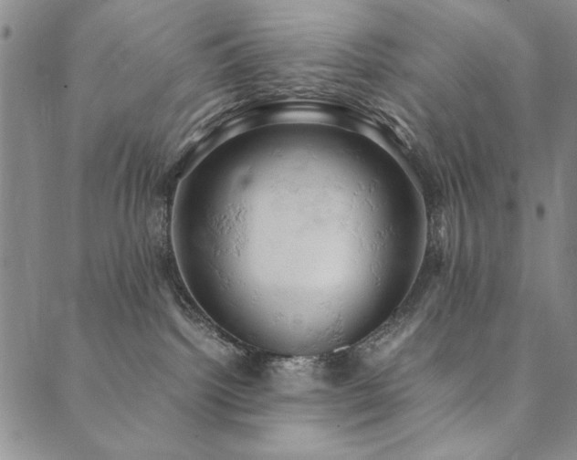 X0000090490092200707131338