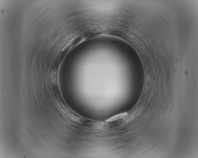 X0000090490096200707131338