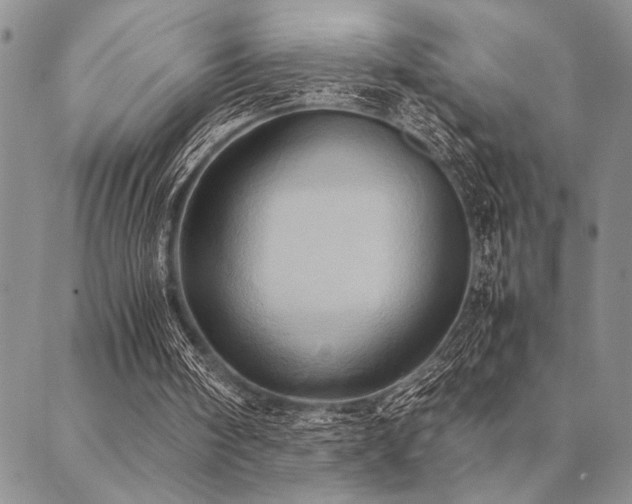 X0000090490098200707131337