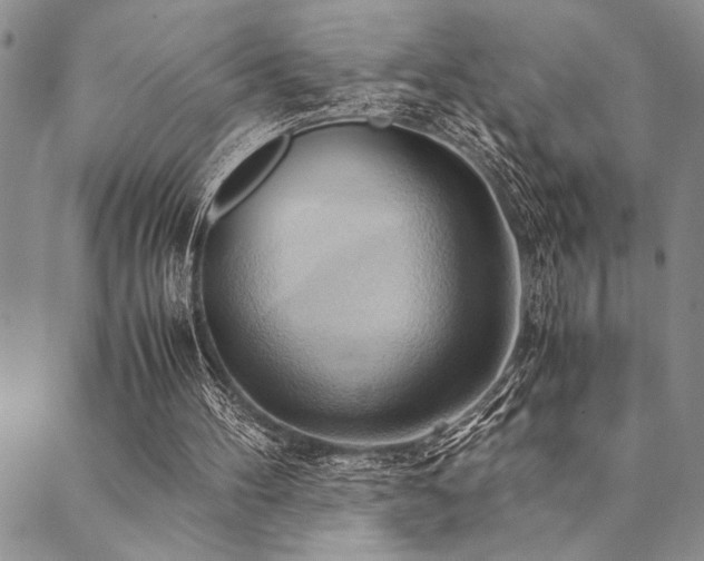 X0000090490100200707131337