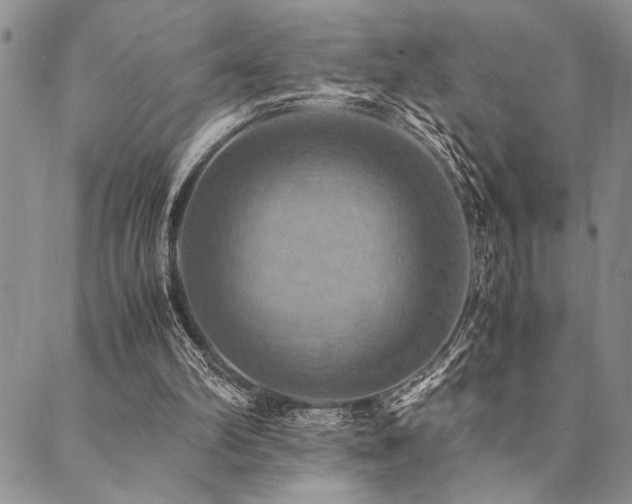 X0000090490102200707131337