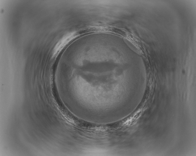 X0000090490103200707131337