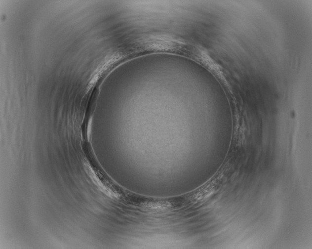 X0000090490106200707131337