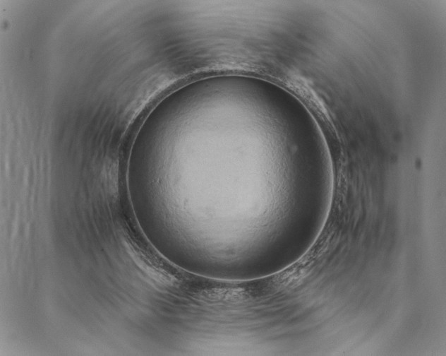 X0000090490108200707131337