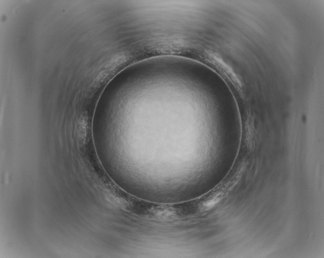 X0000090490113200707131337
