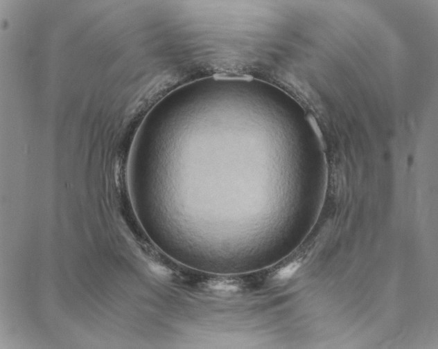 X0000090490117200707131337