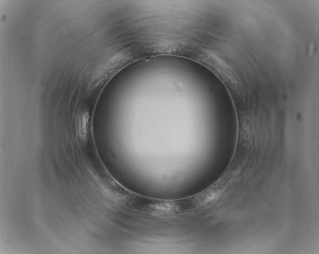 X0000090490118200707131337