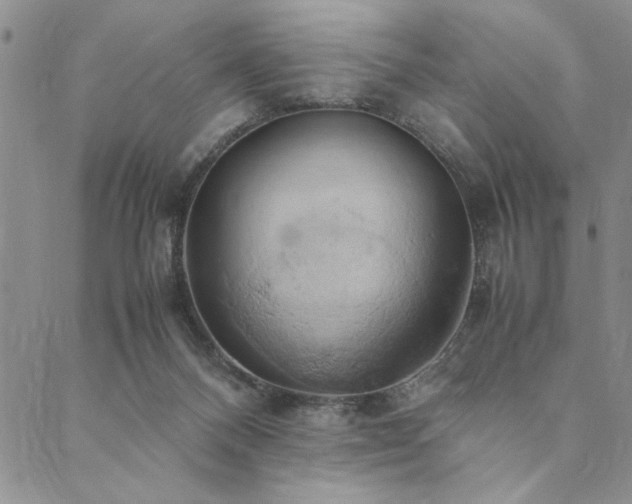 X0000090490120200707131337