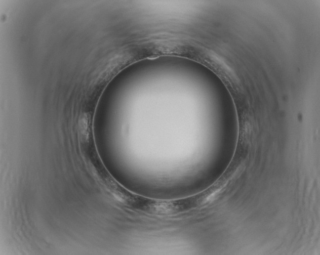 X0000090490121200707131337