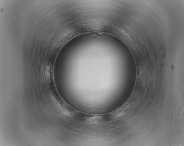 X0000090490122200707131337