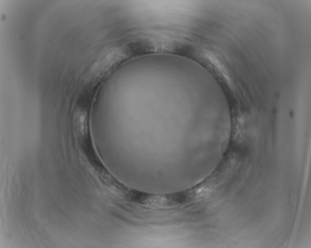 X0000090490123200707131337