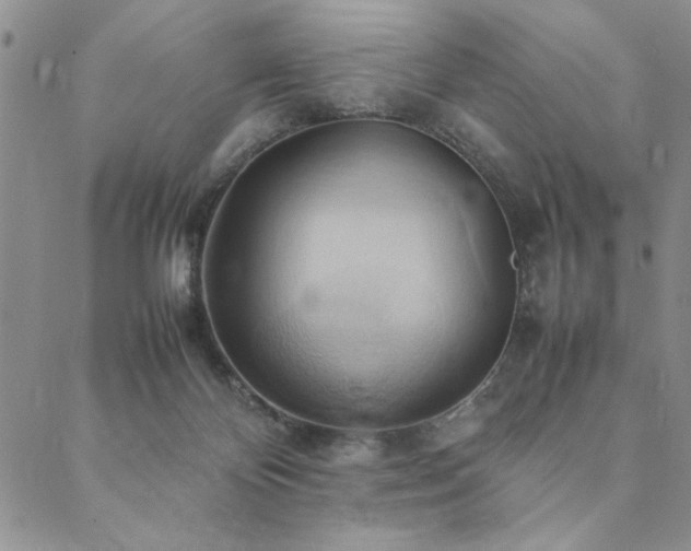 X0000090490124200707131337
