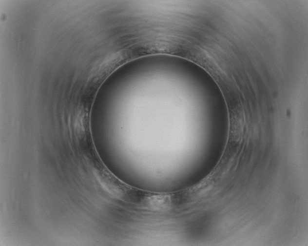 X0000090490126200707131337