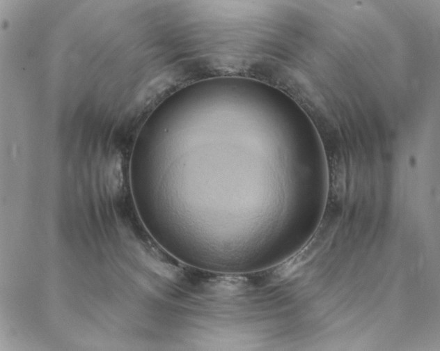 X0000090490128200707131337