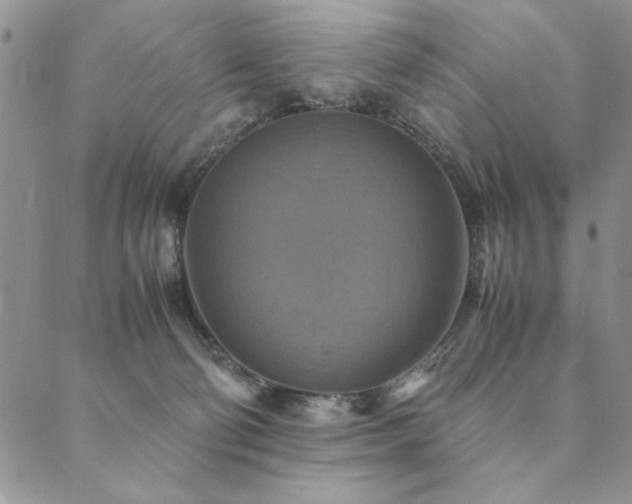 X0000090490130200707131337