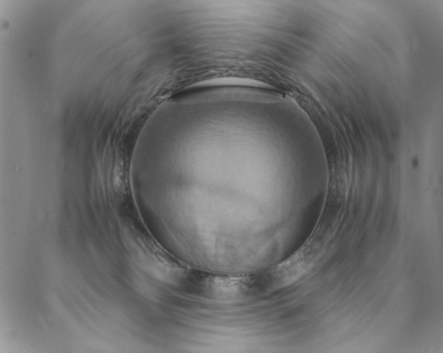 X0000090490134200707131337