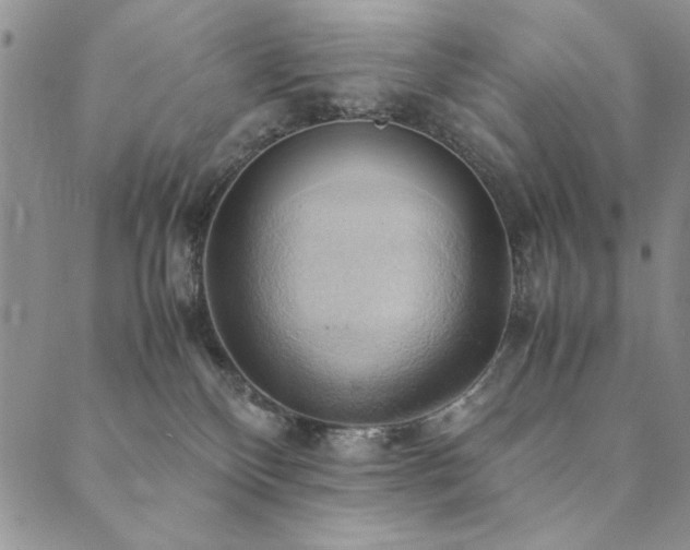 X0000090490136200707131337
