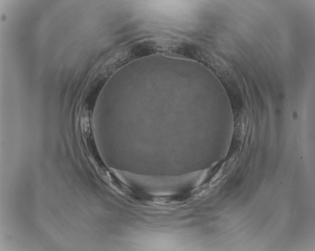X0000090490137200707131336