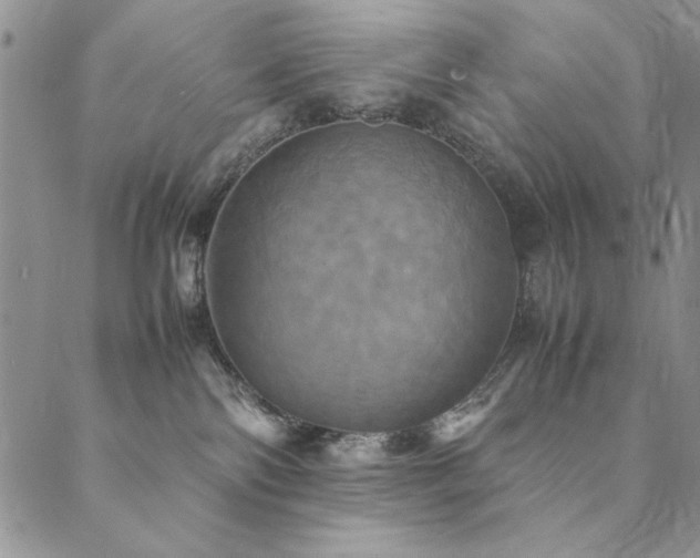 X0000090490138200707131336