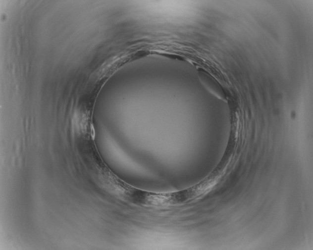 X0000090490139200707131336