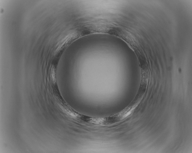 X0000090490143200707131336