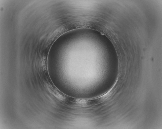 X0000090490144200707131336