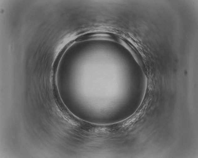 X0000090490152200707131336