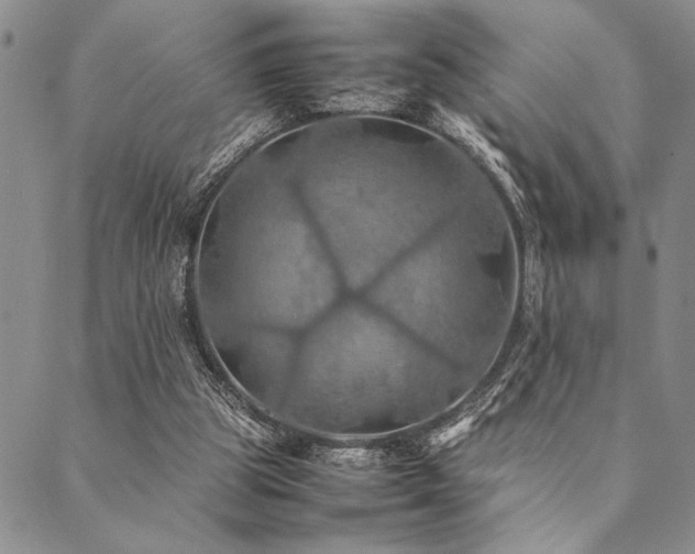 X0000090490153200707131336