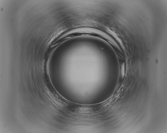 X0000090490154200707131336