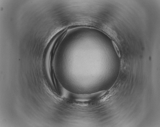 X0000090490156200707131336