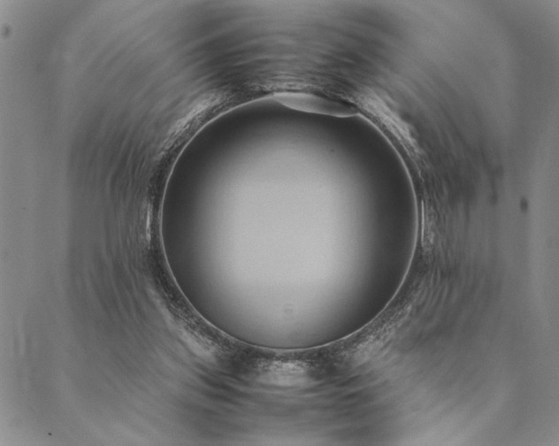 X0000090490157200707131336