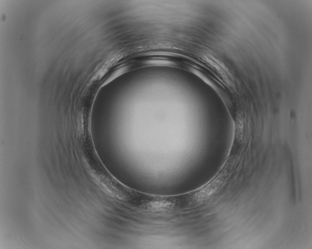 X0000090490158200707131336