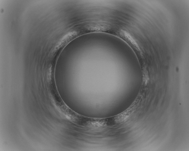 X0000090490163200707131336