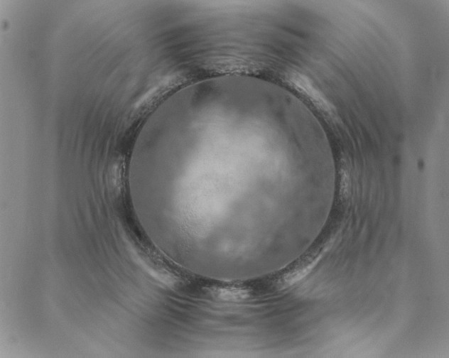 X0000090490165200707131336