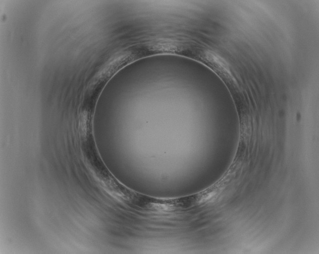 X0000090490167200707131336