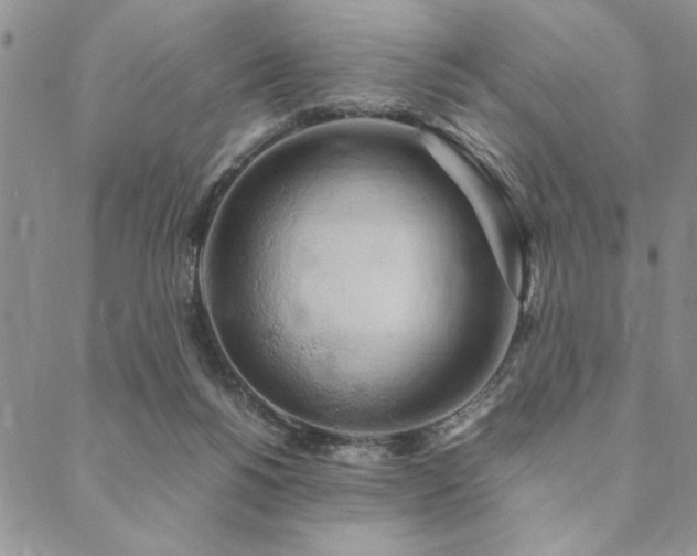 X0000090490168200707131336