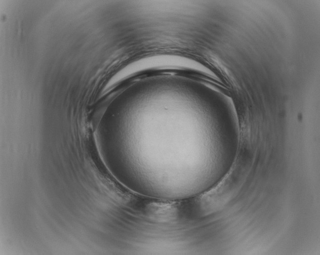X0000090490170200707131336