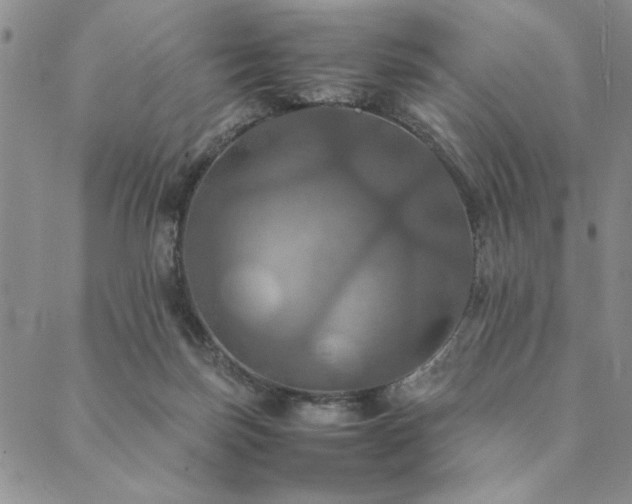 X0000090490171200707131336