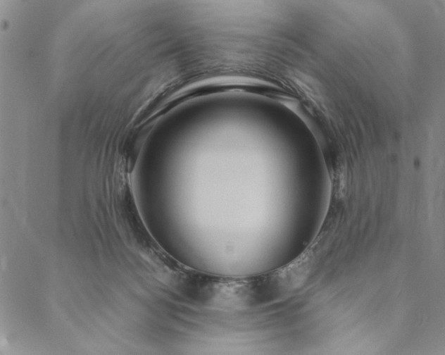 X0000090490172200707131336