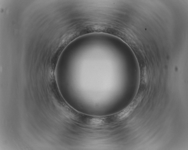 X0000090490176200707131336