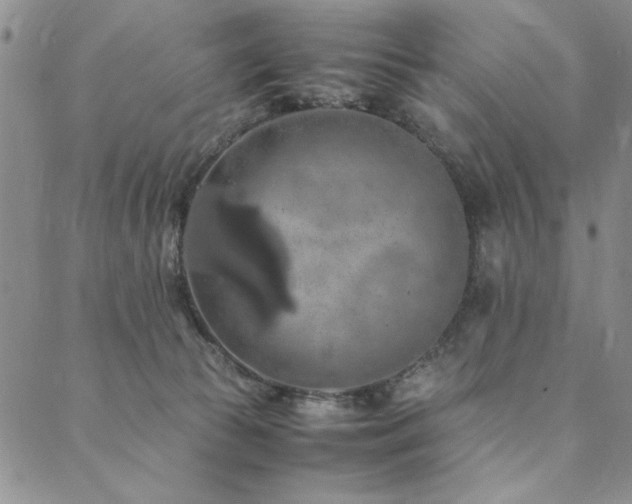 X0000090490177200707131336