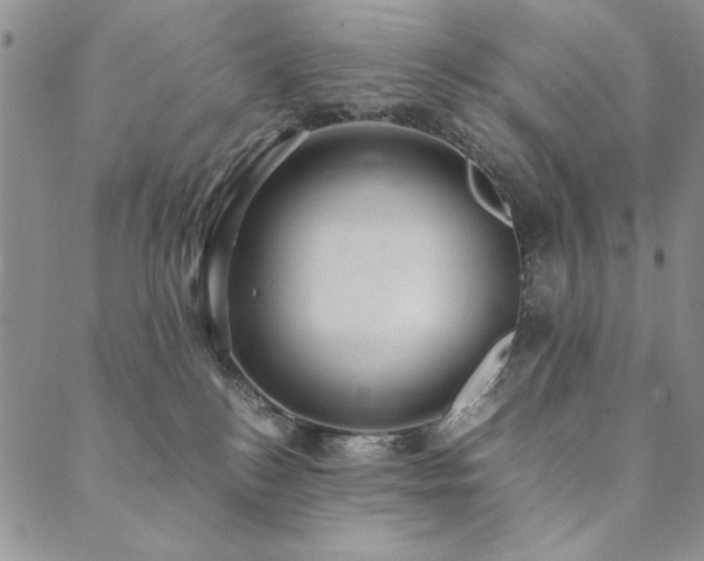 X0000090490184200707131336