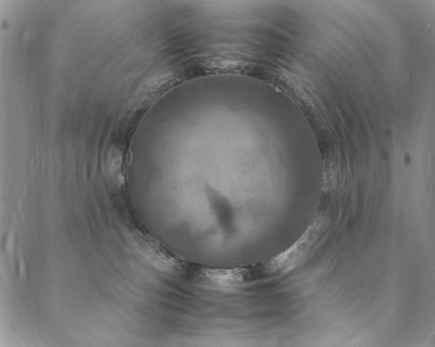 X0000090490187200707131336
