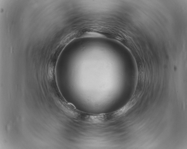 X0000090490188200707131336